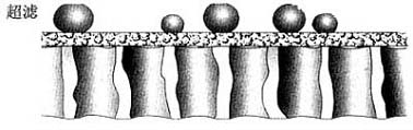 A Brief Introduction to Water Purification Methods (Preparation of High-Purity Water) (Illustrated)