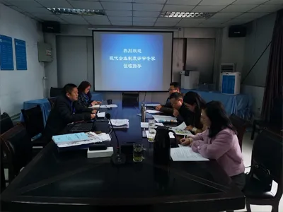 Experts From The ''establishment Of Modern Enterprise Systems In Private Enterprises'' Review Panel Visited Ulupure To Provide Guidance