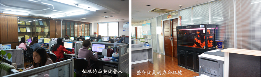 Zhan Wei, Chairman of Ulupure's Parent Company, Visited and Guided the Work of Ulupure's Xi'an Subsidiary