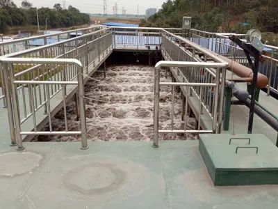 Congratulations on the Completion and Delivery of Sichuan Province's Largest Mbr Membrane Wastewater Treatment Project!