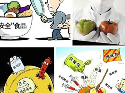 The New Food Safety Law Builds a Strong Defense for the Public's Food Safety