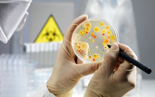 Types of Fouling and Solutions for Ultrapure Water Systems