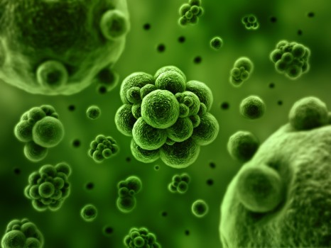 Ultrapure Water System Water Quality Basics—impurities in Water
