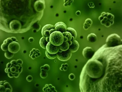 Ultrapure Water System Water Quality Basics—impurities in Water