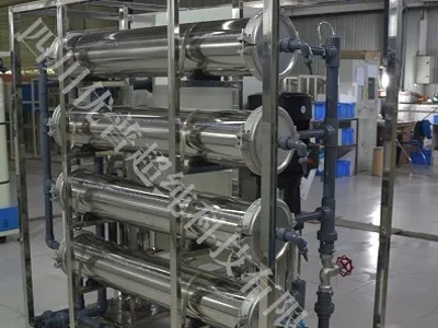 Reasons for the Rapid Decline in the Desalination Rate of Reverse Osmosis Membranes