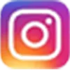 ins