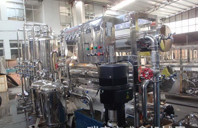 Complete Mineral Water Production Line Equipment Process Flow Details