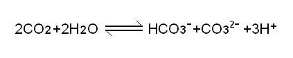 PH of Pure Water/Ultrapure Water PH of Pure Water/Ultrapure Water