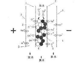 Development History of Electrodeionization (EDI) Technology Development History of Electrodeionization (EDI) Technology