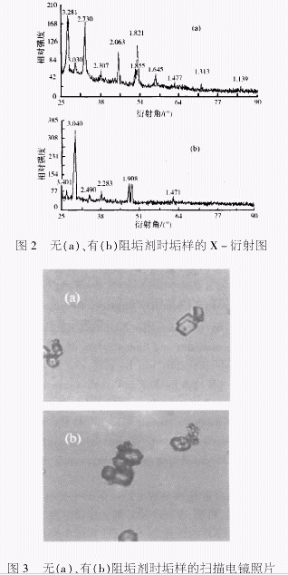Problems and Discussion in the Performance Evaluation Methods of Scale Inhibitors
